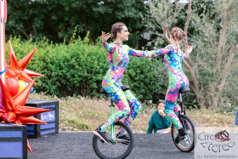 Gallery photo 58 of Circo Etereo