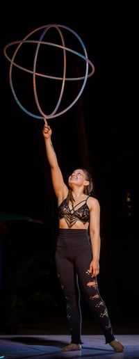 Gallery photo 4 of CirCompendium