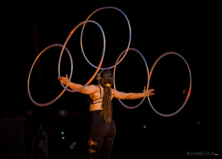 Gallery photo 5 of CirCompendium