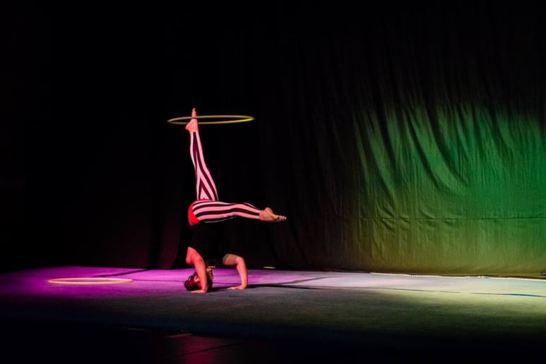 Gallery photo 6 of CirCompendium