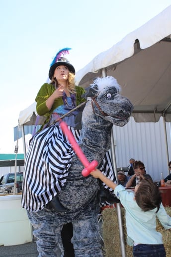 Gallery photo 3 of Circus Creations