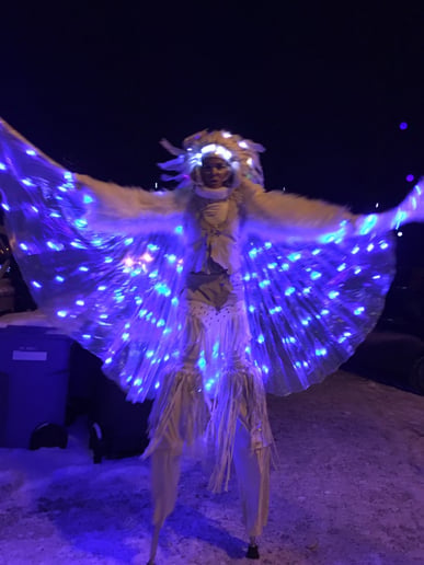 Gallery photo 8 of Le cirque D’Orion