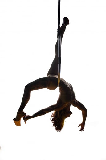 Gallery photo 3 of Circus Dreamgirl