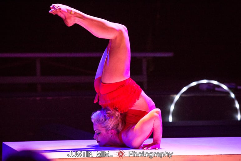 Gallery photo 1 of Circus Entertainment