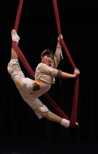 Gallery photo 2 of Circus Entertainment