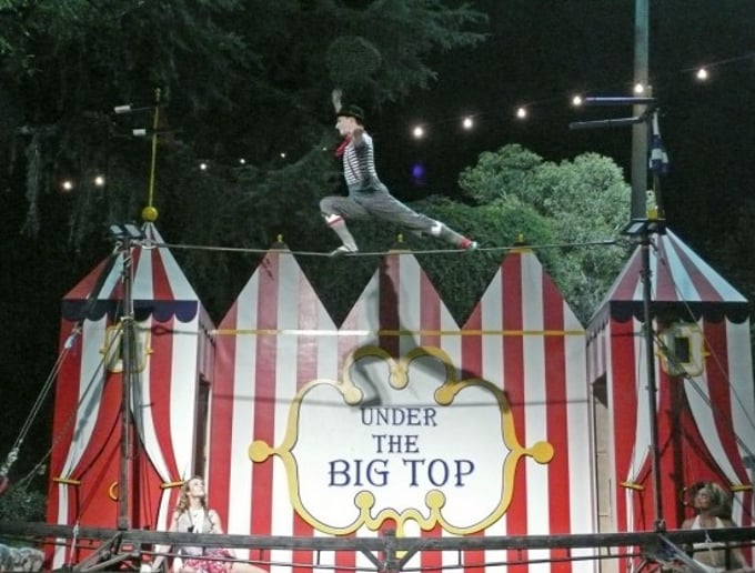 Gallery photo 2 of In Motion Shows (Circus!)