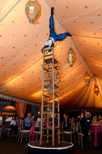Gallery photo 11 of In Motion Shows (Circus!)
