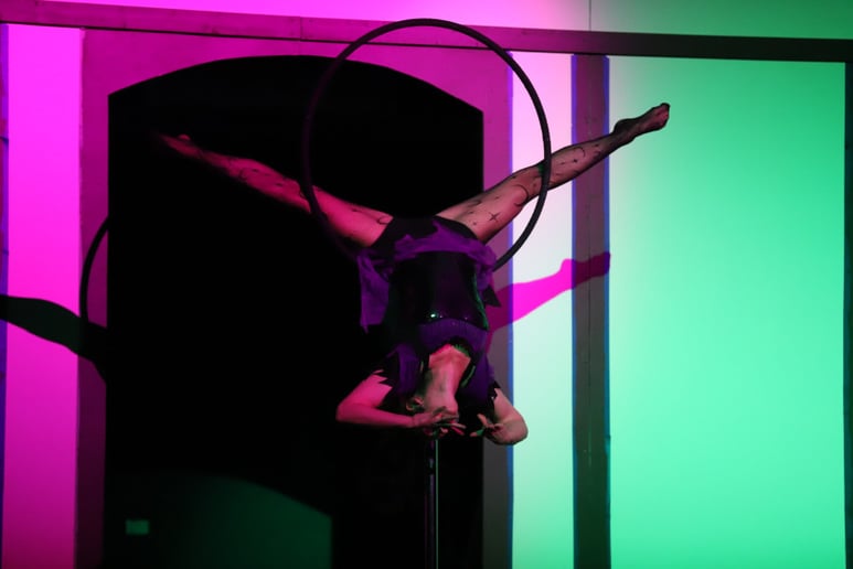 Gallery photo 2 of Circus Inspired