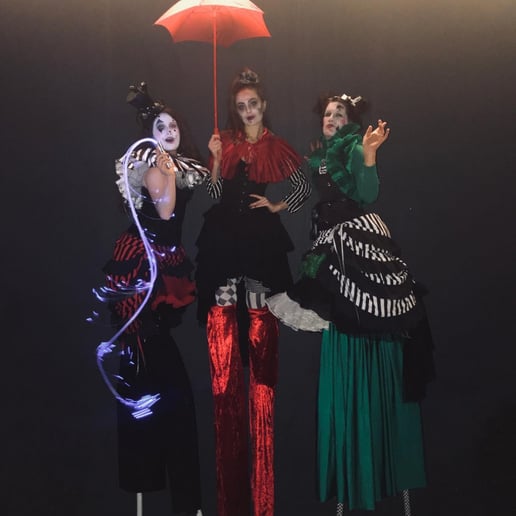 Gallery photo 59 of Circus Joy!