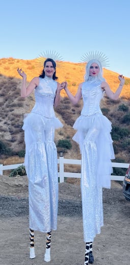 Gallery photo 82 of Circus Joy!