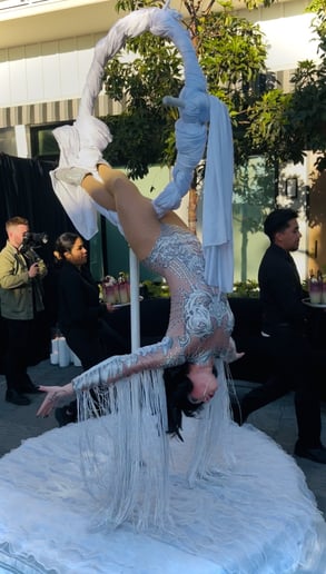 Gallery photo 91 of Circus Joy!