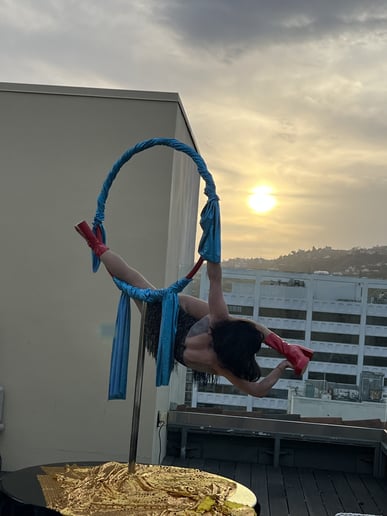 Gallery photo 21 of Circus Joy!