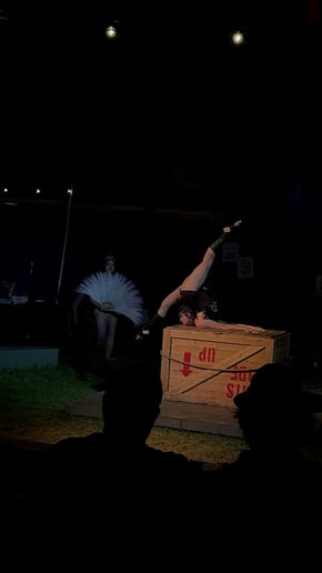 Gallery photo 9 of Cirkus Zirkus