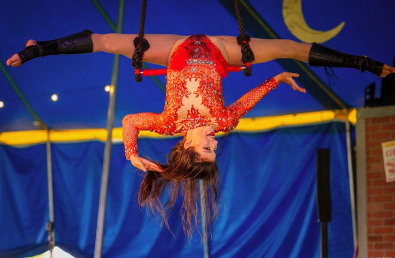 Gallery photo 4 of Cirkus Zirkus