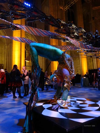 Gallery photo 9 of CirqOvation