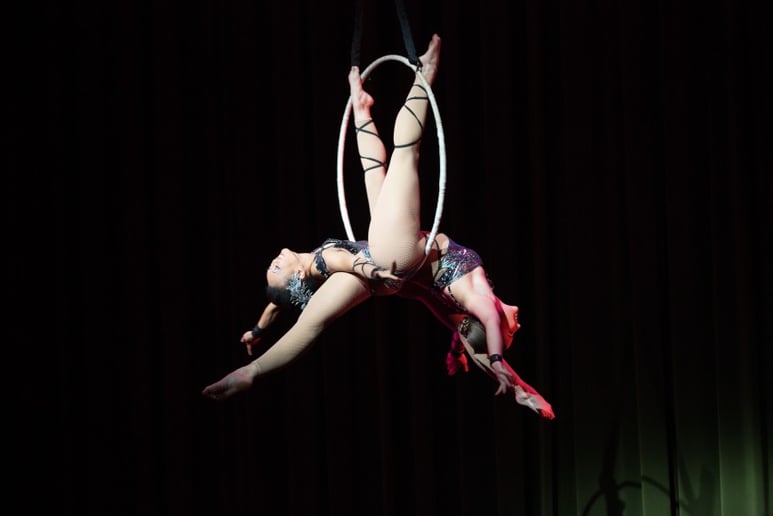 Gallery photo 1 of CirqOvation
