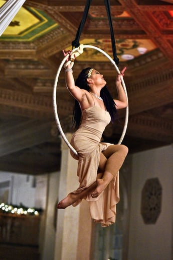 Gallery photo 12 of CirqOvation