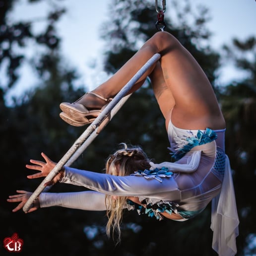 Gallery photo 8 of Cirque Bishop