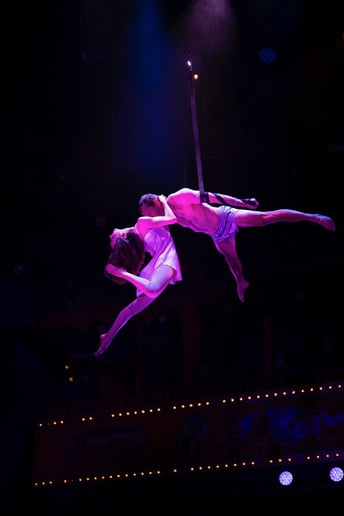 Gallery photo 5 of Cirque by Natsumi