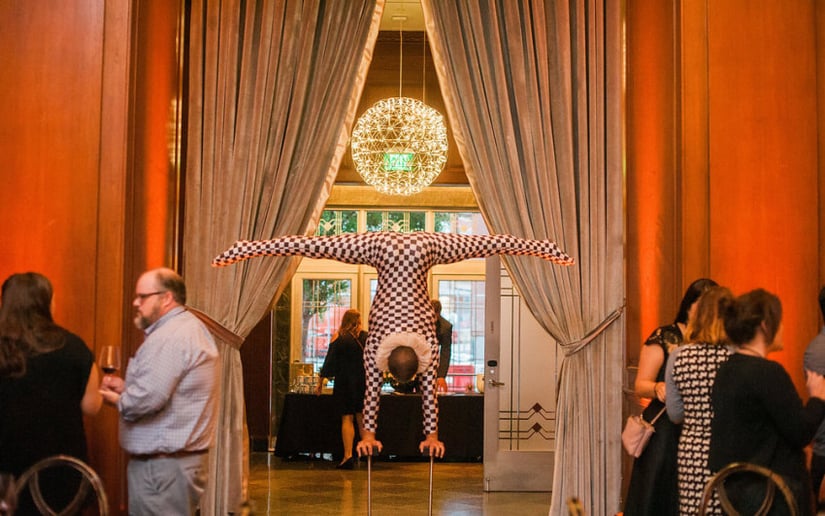 Gallery photo 4 of Cirque de Vol