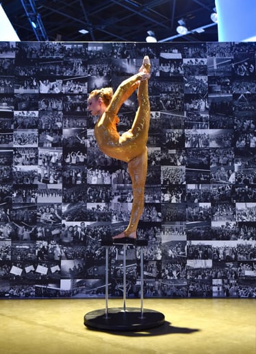 Gallery photo 9 of Cirque de Vol
