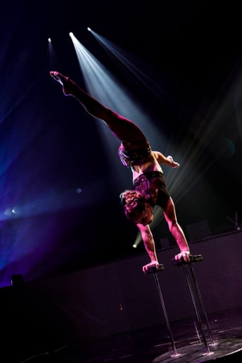 Gallery photo 11 of Cirque de Vol