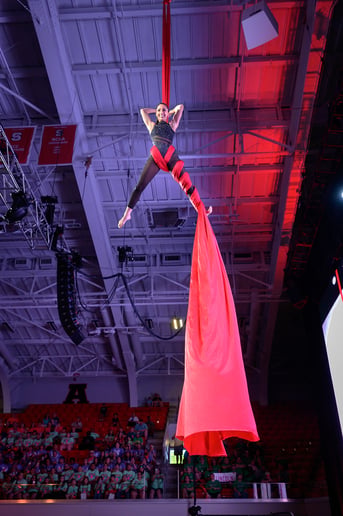 Gallery photo 2 of Cirque de Vol