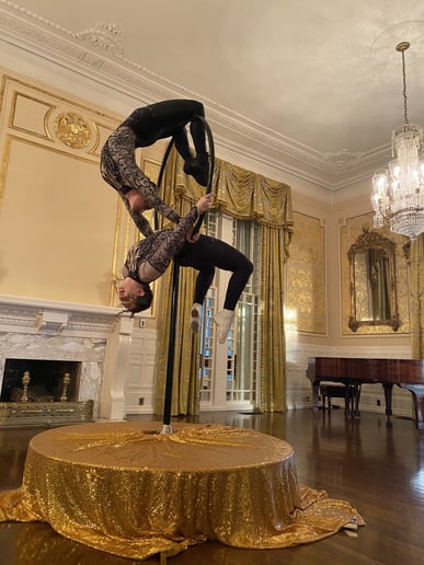 Gallery photo 14 of Cirque de Vol