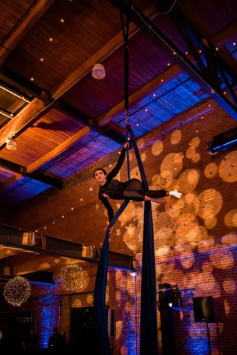 Gallery photo 17 of Cirque de Vol
