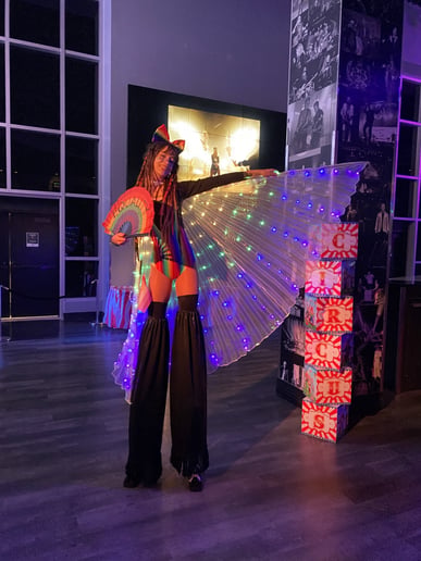 Gallery photo 2 of Stevie Sol Circus