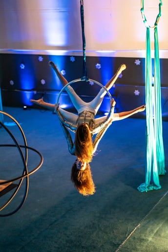 Gallery photo 5 of Cirque for a Cure