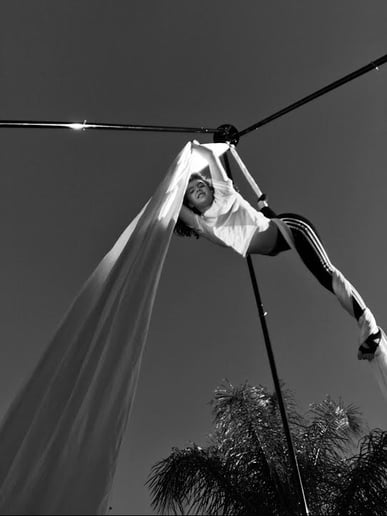 Gallery photo 6 of Cirque for a Cure