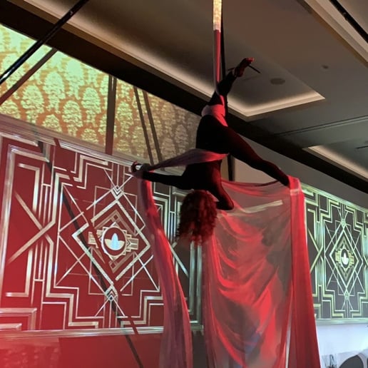 Gallery photo 4 of Cirque for a Cure