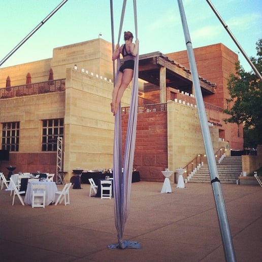 Gallery photo 3 of Cirque Indy