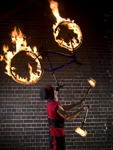 Gallery photo 8 of Cirque Quirk