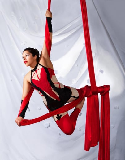Gallery photo 9 of Cirque Quirk