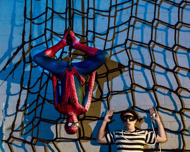 Gallery photo 1 of Cirque Specialty &  SwayPoles &  Rolly