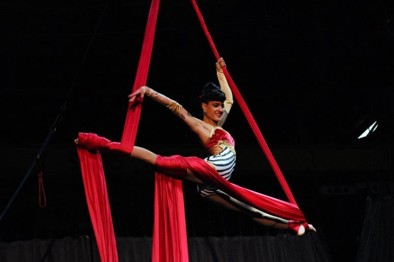 Gallery photo 2 of Cirque Specialty &  SwayPoles &  Rolly