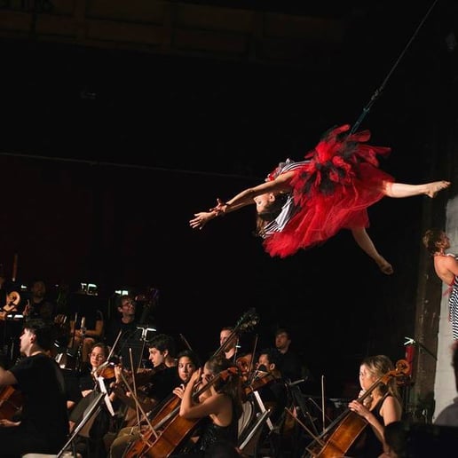 Gallery photo 3 of Cirque Specialty &  SwayPoles &  Rolly