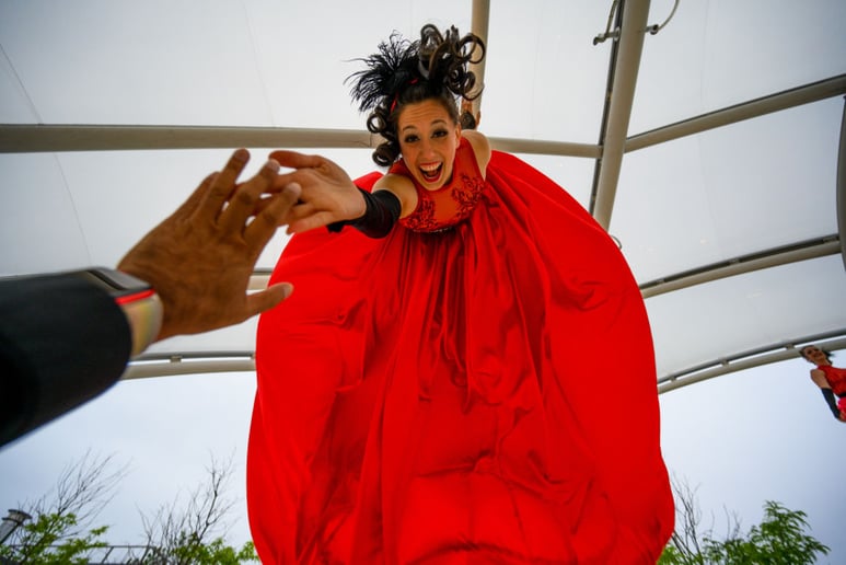 Gallery photo 6 of Cirque Specialty &  SwayPoles &  Rolly