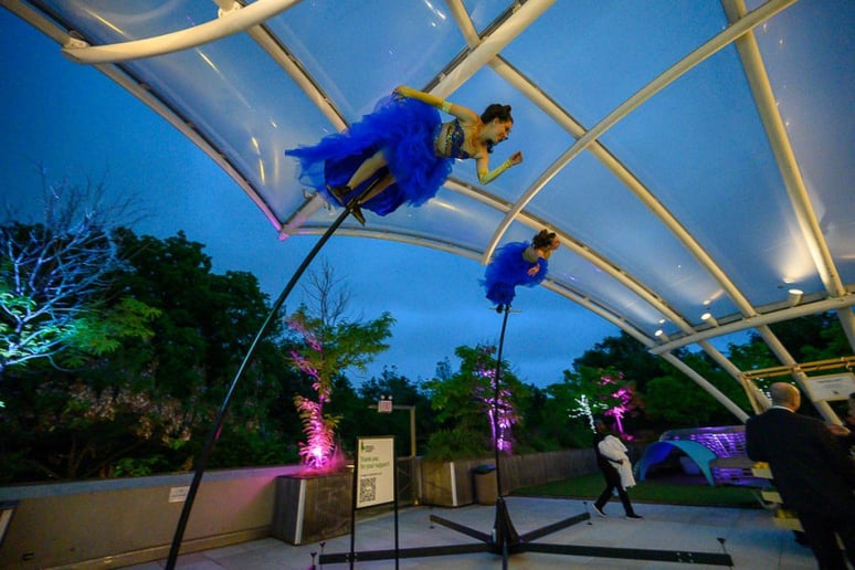 Gallery photo 7 of Cirque Specialty &  SwayPoles &  Rolly