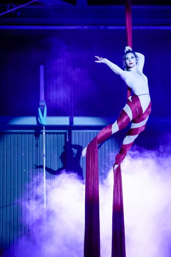 Gallery photo 1 of Cirque Under The Stars