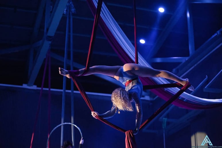 Gallery photo 3 of Cirque Under The Stars