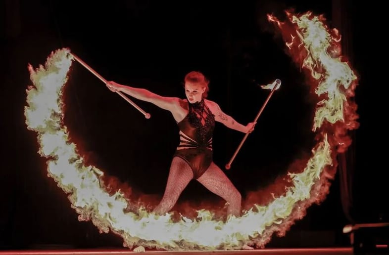Gallery photo 6 of Cirque Under The Stars