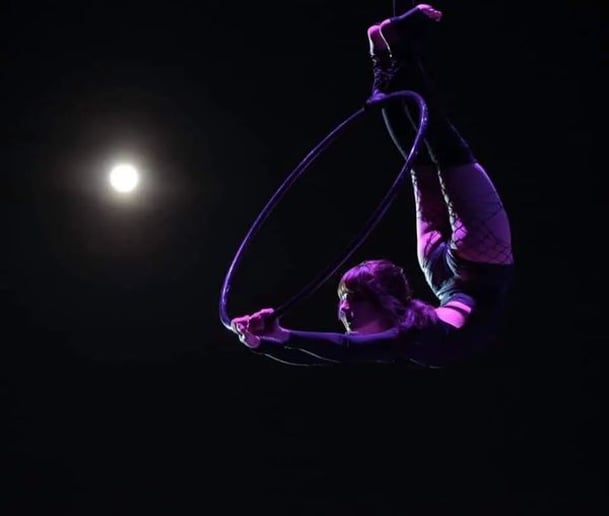 Gallery photo 10 of Cirque Under The Stars