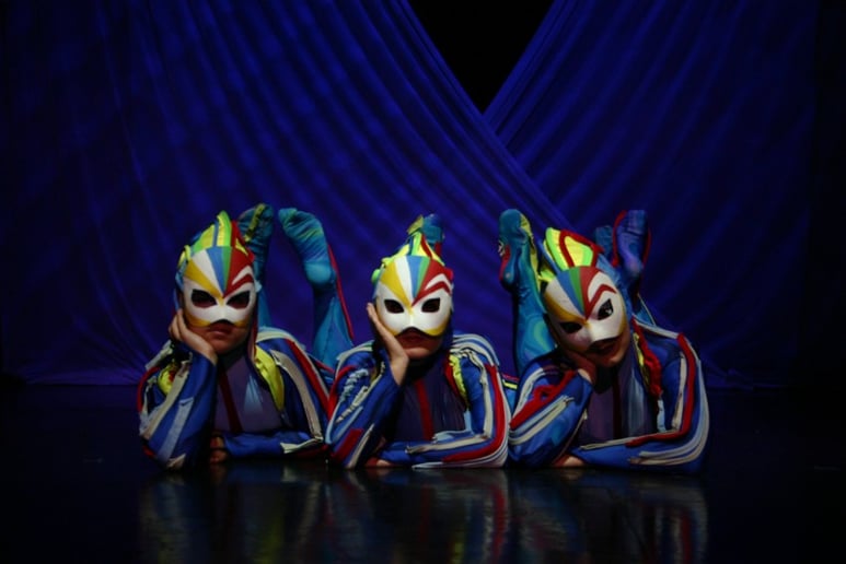 Gallery photo 24 of Cirque Vertigo