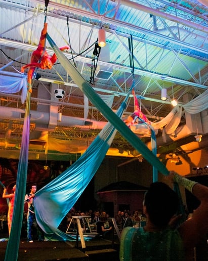 Gallery photo 29 of Cirque Vertigo