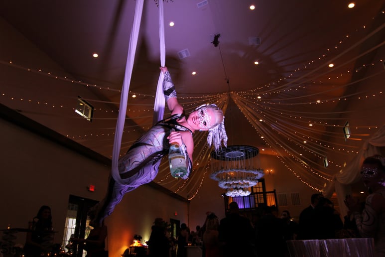 Gallery photo 30 of Cirque Vertigo