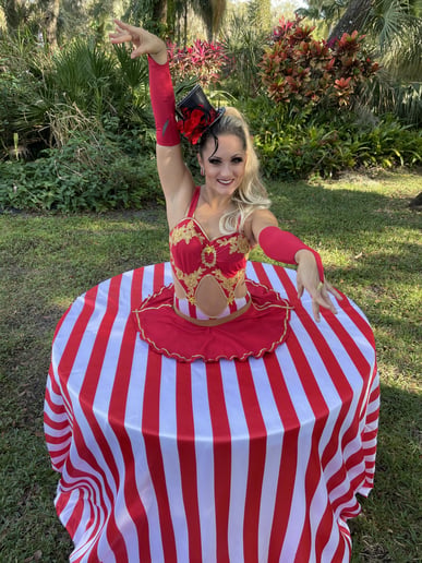 Gallery photo 46 of Cirque Vertigo
