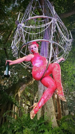 Gallery photo 49 of Cirque Vertigo